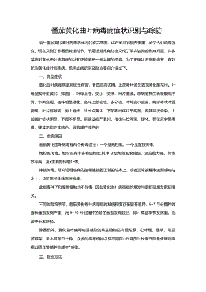 番茄黄化曲叶病毒病症状识别与综防.docx
