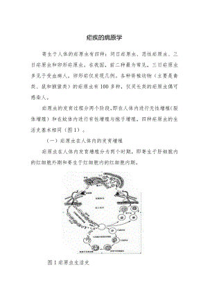 疟疾的病原学.docx