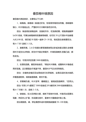 番茄卷叶啥原因.docx