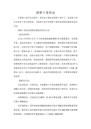 胡萝卜菜青虫.docx