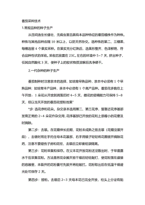 番茄采种技术.docx