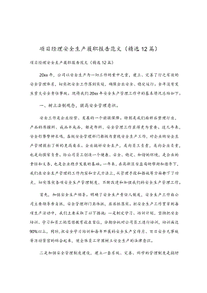 项目经理安全生产履职报告范文（精选12篇）.docx