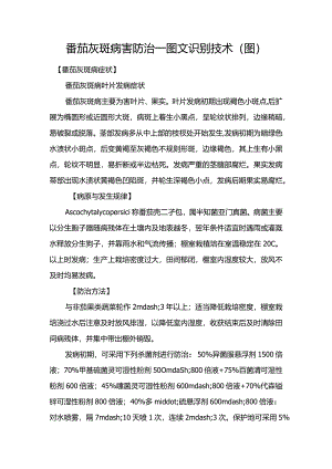 番茄灰斑病害防治—图文识别技术（图）.docx