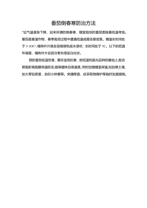 番茄倒春寒防治方法.docx