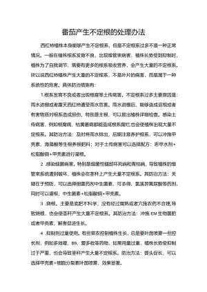 番茄产生不定根的处理办法.docx