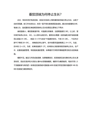 番茄顶端为何停止生长？.docx