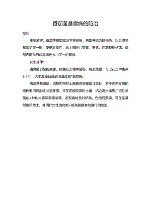 番茄茎基腐病的防治.docx