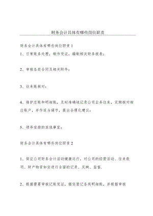 财务会计具体有哪些岗位职责.docx