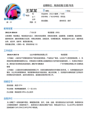简历简设计系列管理销售模板.docx