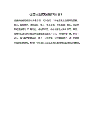 番茄出现空洞果咋回事？.docx