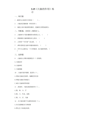 粤教版科学六年级上册3-15大脑的作用练习.docx