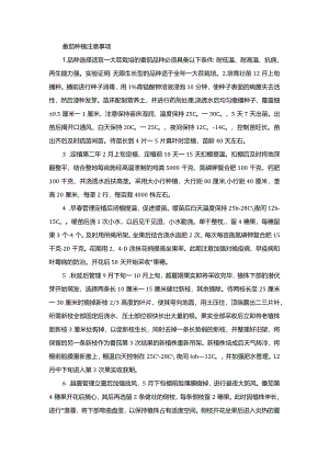 番茄种植注意事项.docx