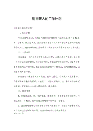 销售新人的工作计划.docx