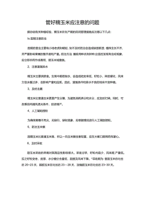 管好糯玉米应注意的问题.docx