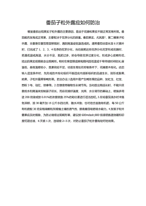 番茄子粒外露应如何防治.docx