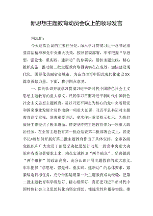 新思想主题教育动员会议上的领导发言.docx