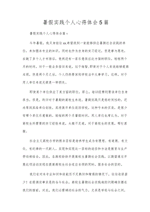 暑假实践个人心得体会5篇.docx