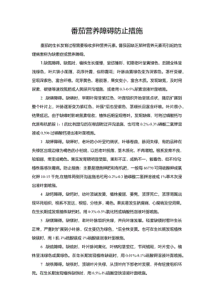 番茄营养障碍防止措施.docx