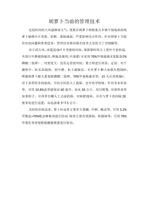 胡萝卜当前的管理技术.docx
