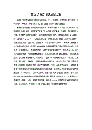 番茄子粒外露应的防治.docx