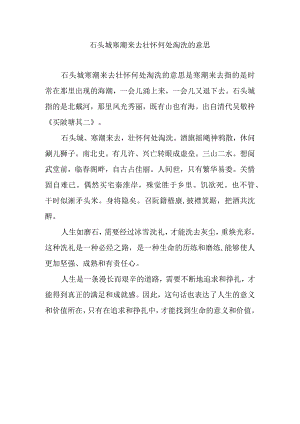 石头城寒潮来去壮怀何处淘洗的意思.docx