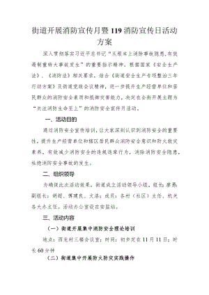 街道开展消防宣传月暨119消防宣传日活动方案.docx