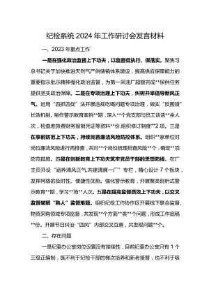纪检系统2024年工作研讨会发言材料4.docx