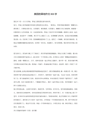 美丽的草地作文800字.docx