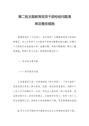 第二批主题教育党员干部检视问题清单及整改措施.docx