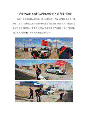 突泉县流通产业发展协会党支部开展乡村振兴环境卫生整治.docx
