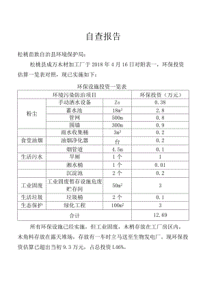 自查报告.docx