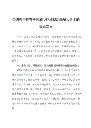 街道办主任在全区城乡环境整治动员大会上的表态发言.docx