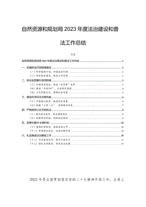 自然资源和规划局2023年度法治建设和普法工作总结.docx