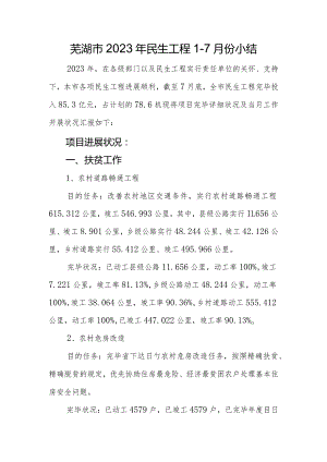 芜湖市民生工程综述.docx
