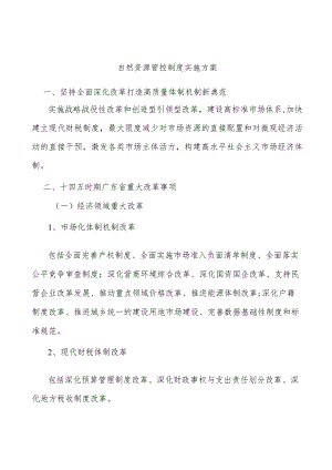 自然资源管控制度实施方案.docx