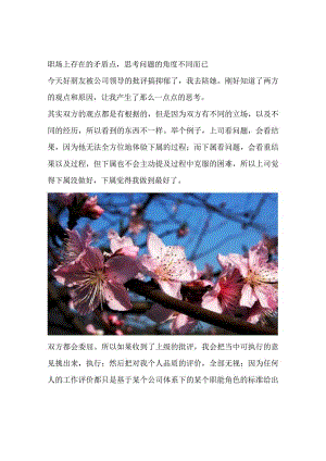 职场上存在的矛盾点思考问题的角度不同而已.docx