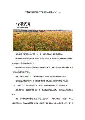 胚芽米是不是糙米？究竟哪种米更适合作为主食.docx