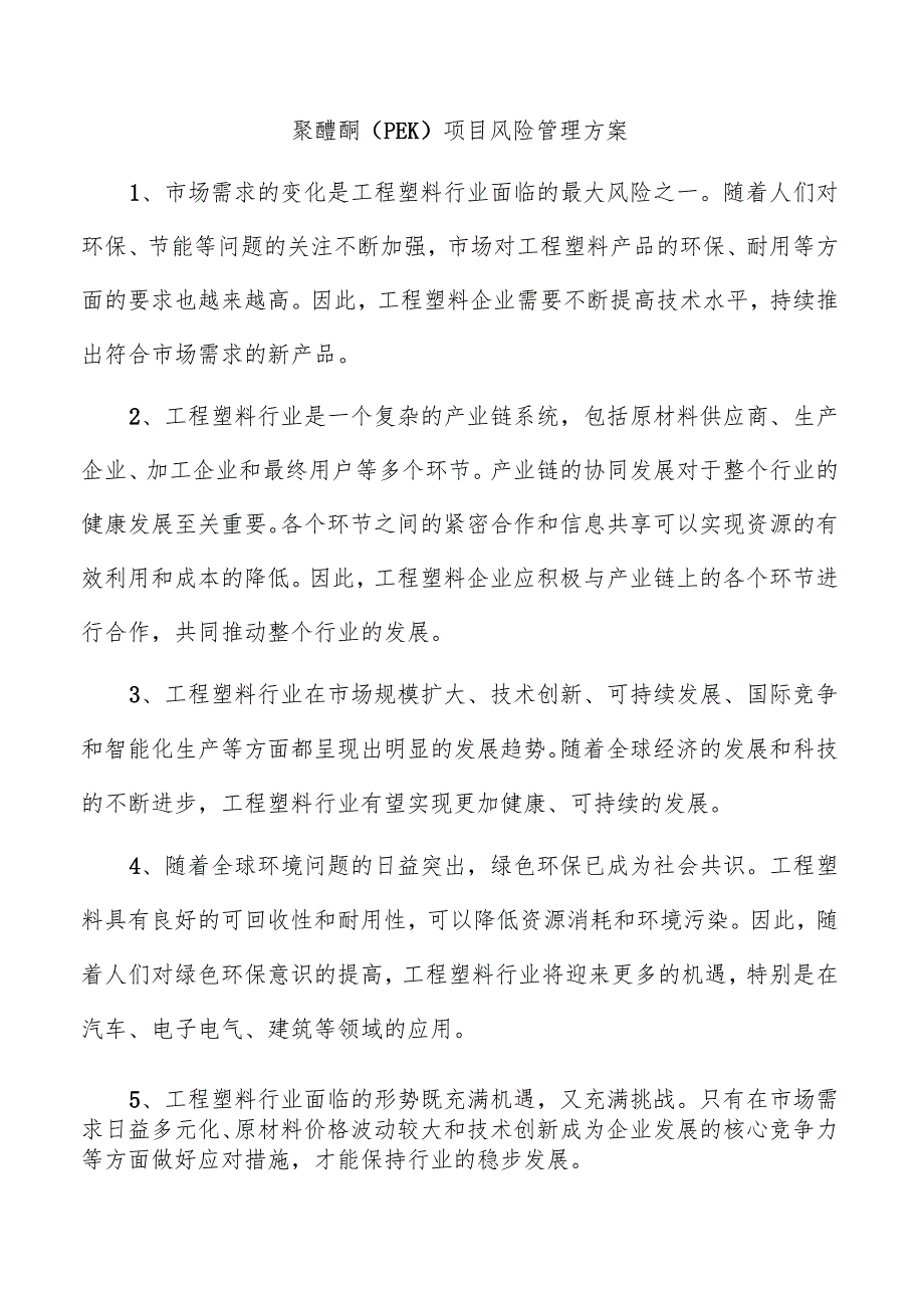 聚醚酮(PEK)项目风险管理方案.docx_第1页