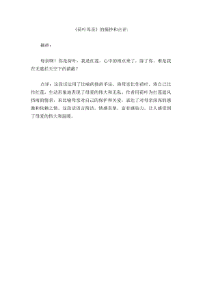荷叶母亲的摘抄和点评.docx