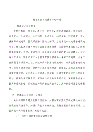 精准扩大有效投资行动计划.docx