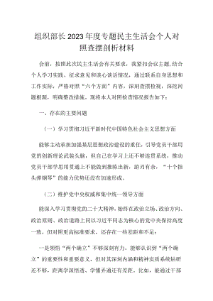 组织部长2023年度专题民主生活会个人对照查摆剖析材料.docx
