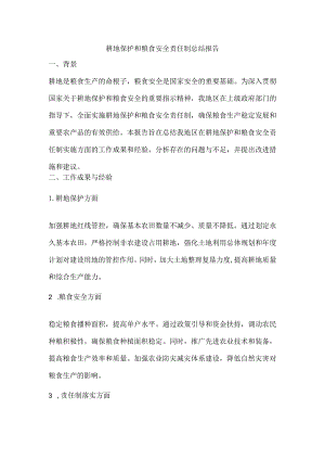 耕地保护和粮食安全责任制总结报告.docx