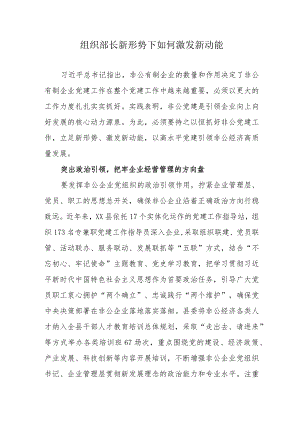 组织部长新形势下如何激发新动能.docx