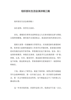 组织部长生活会演讲稿三篇.docx