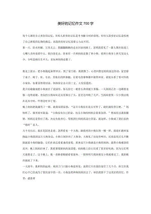 美好的记忆作文700字.docx