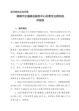 自评报告及自评表.docx