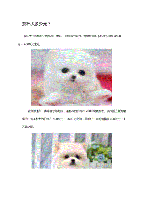 茶杯犬多少元.docx