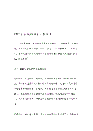 社会实践调查报告样例展示.docx