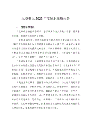 纪委书记2023年度述职述廉报告.docx