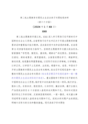 第二批主题教育专题民主生活会班子对照检视材料（新六个方面通用版）.docx